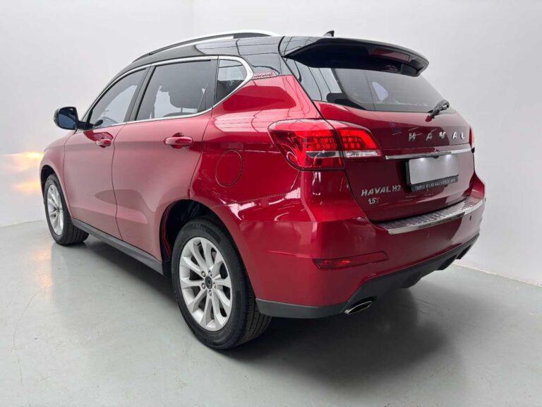 2019 HAVAL H6 C 2
