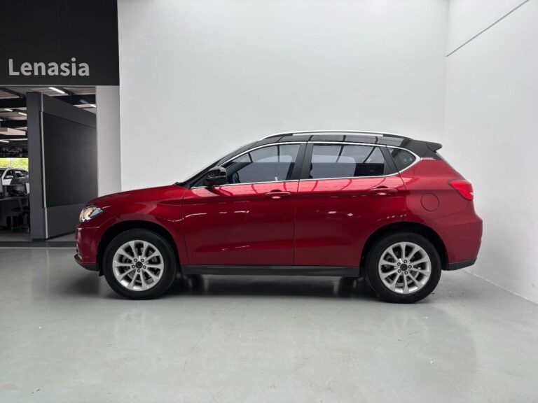 2019 HAVAL H6 C 2