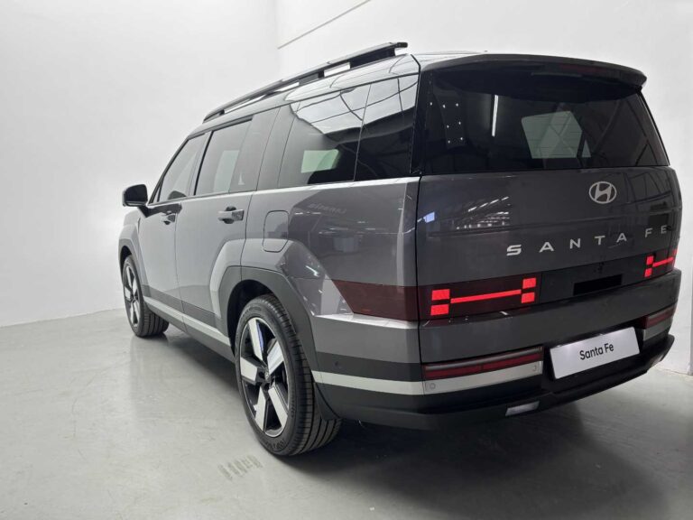 2025 HYUNDAI SANTE FE 1