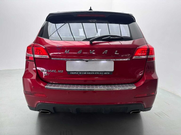 2019 HAVAL H6 C 2