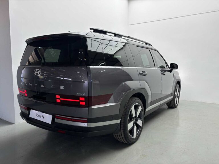 2025 HYUNDAI SANTE FE 1